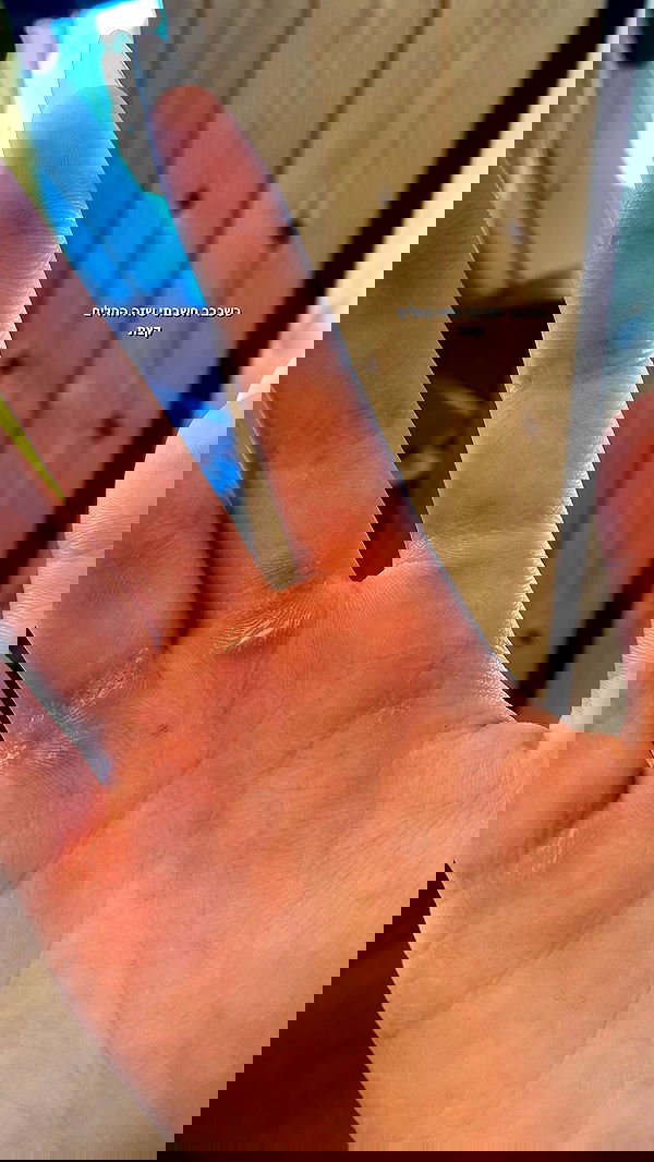 lital.shli lital.shli archive image