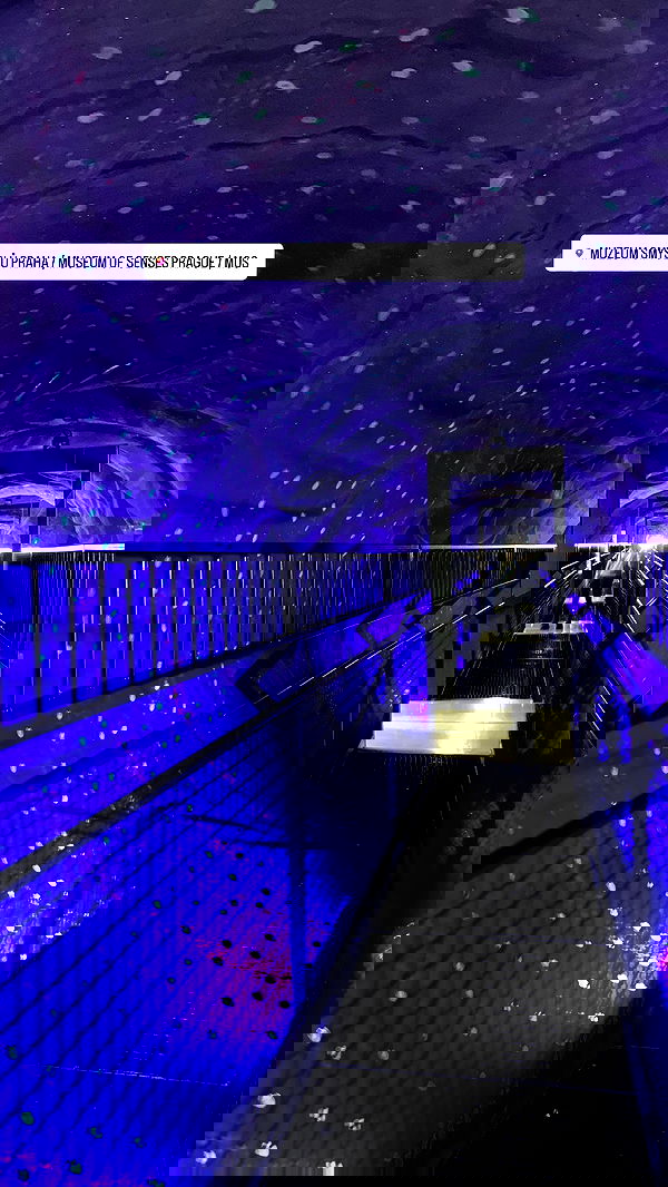 lital.shli lital.shli archive image