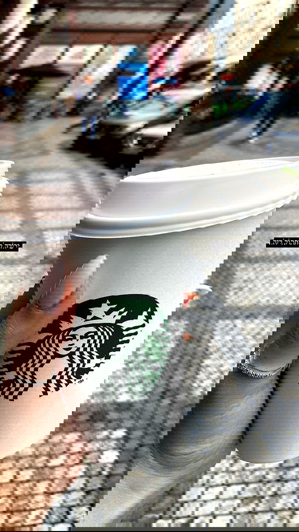 lital.shli lital.shli archive image