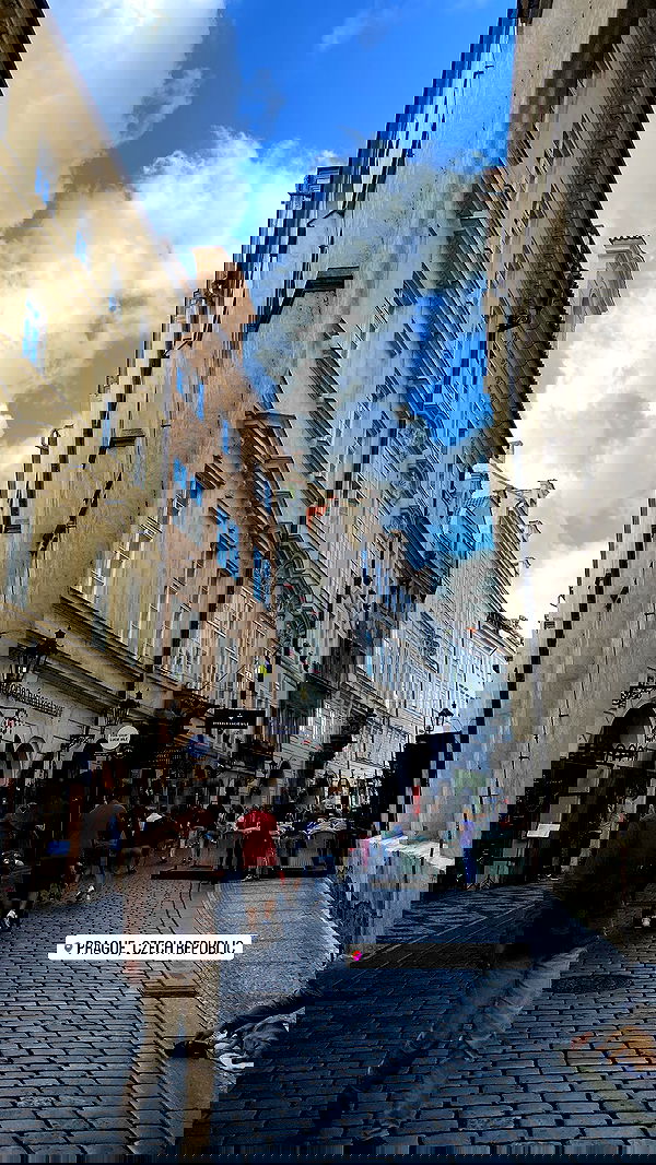 lital.shli lital.shli archive image