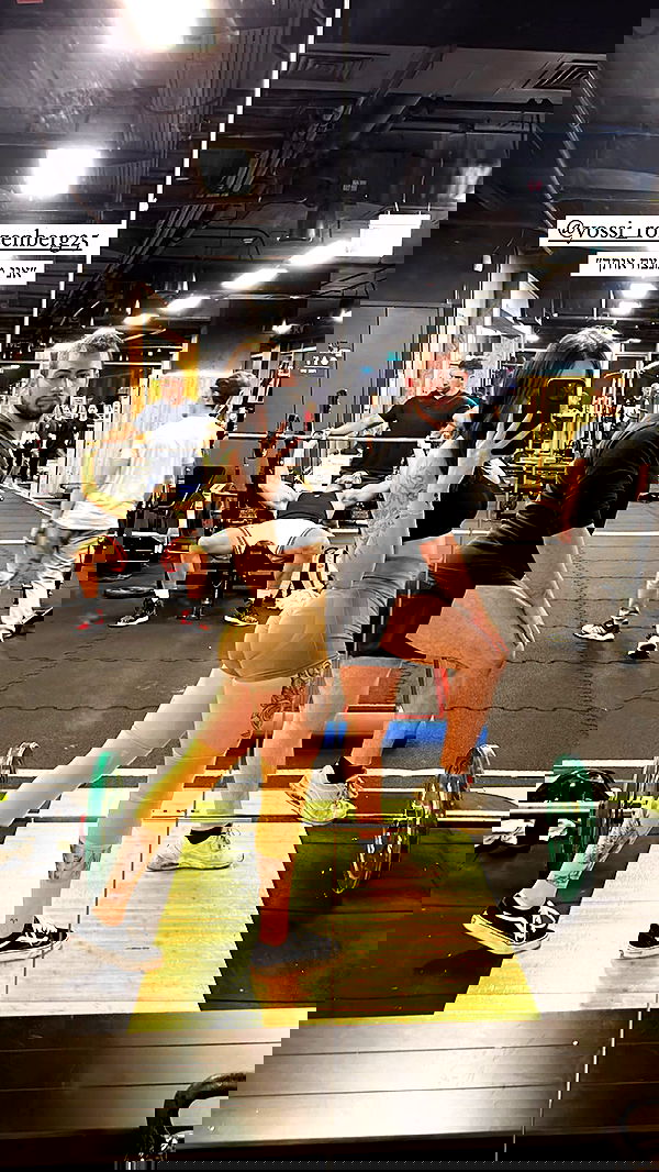 lital.shli lital.shli archive image