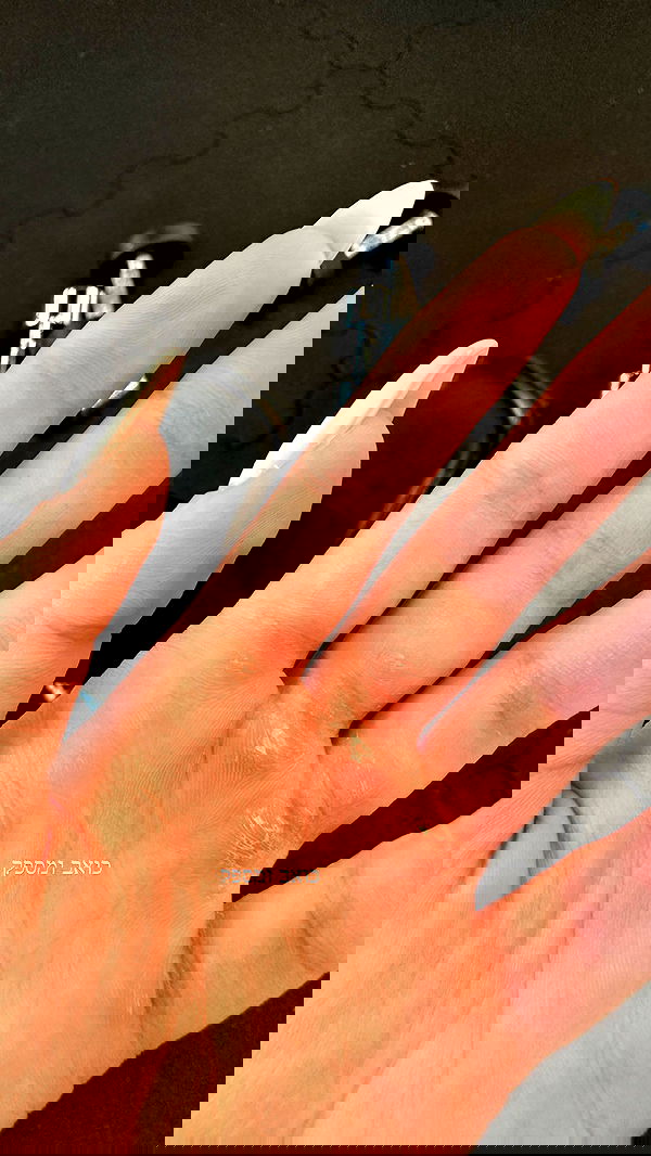 lital.shli lital.shli archive image