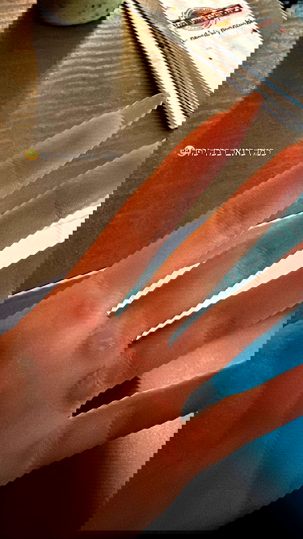 lital.shli lital.shli archive image