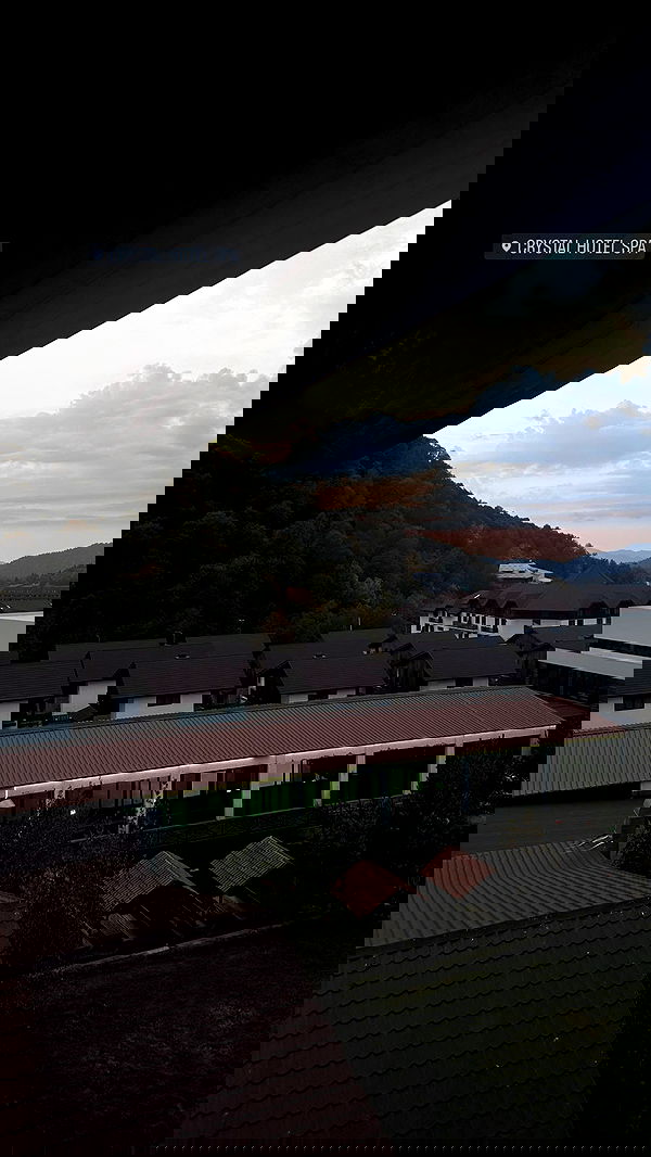 lital.shli lital.shli archive image