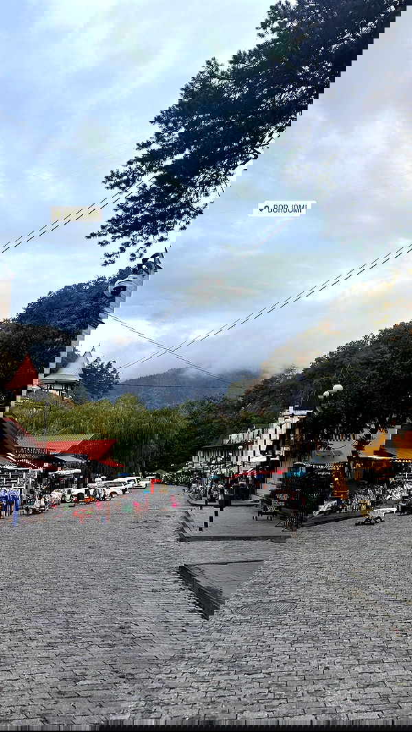 lital.shli lital.shli archive image