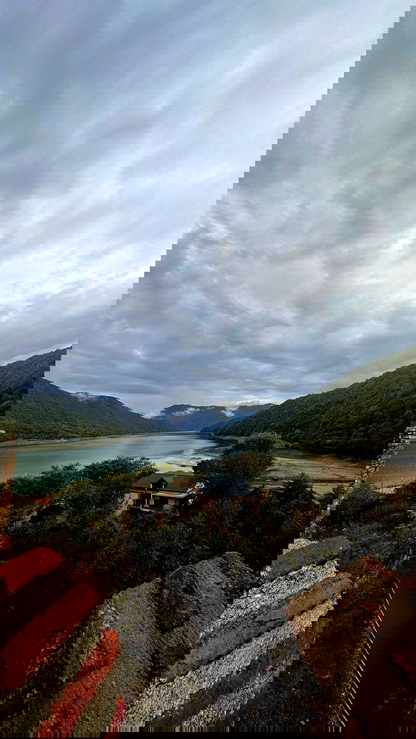 lital.shli lital.shli archive image