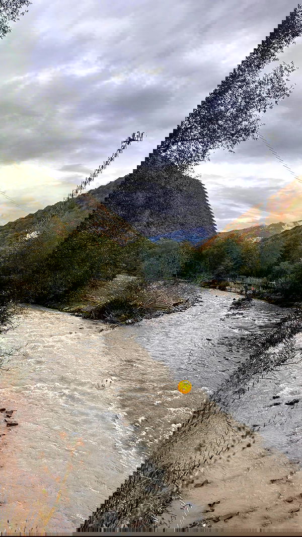 lital.shli lital.shli archive image