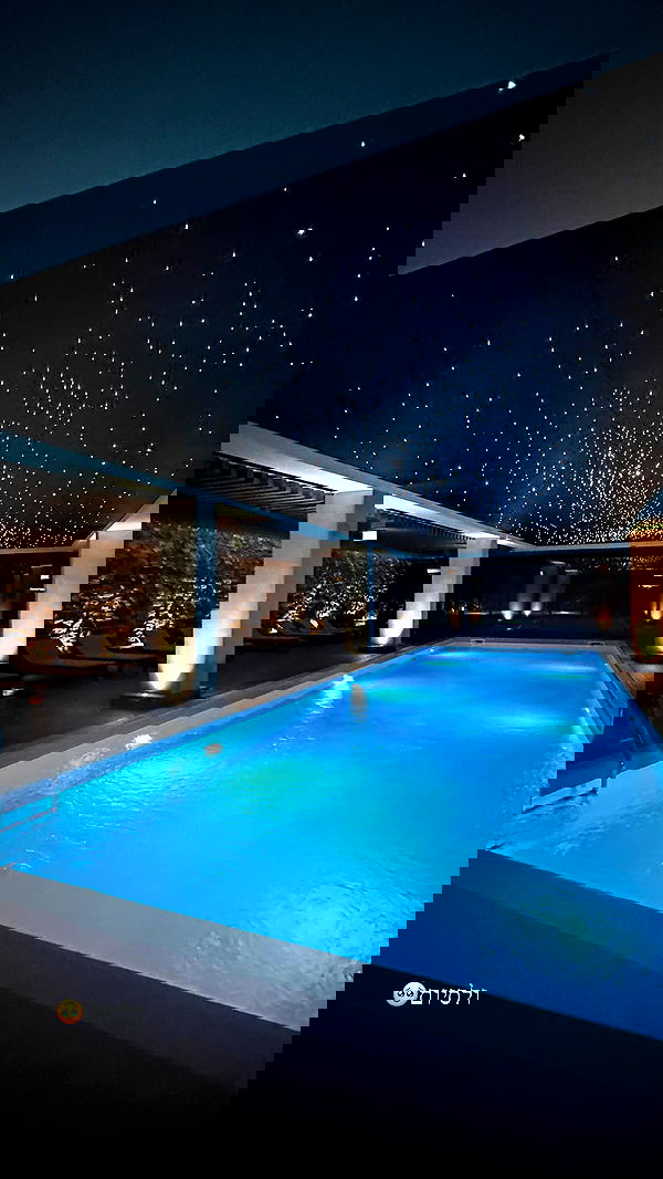 lital.shli lital.shli archive image