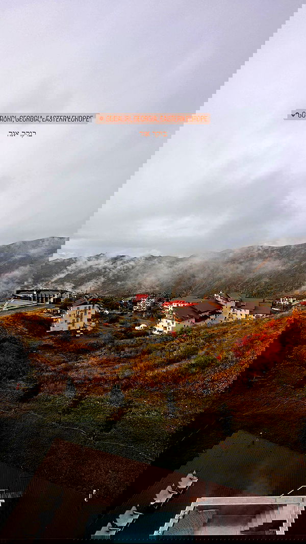 lital.shli lital.shli archive image