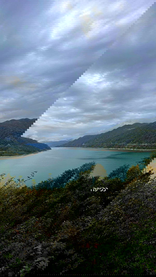 lital.shli lital.shli archive image