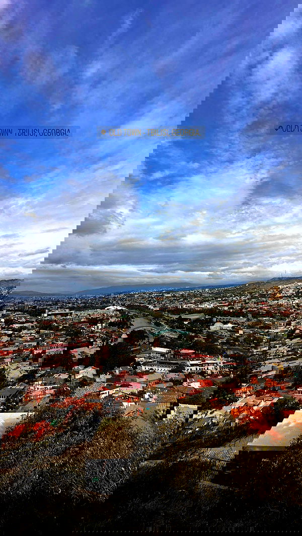 lital.shli lital.shli archive image