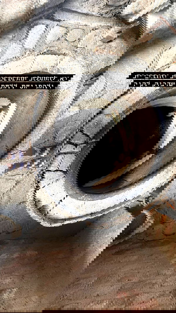 lital.shli lital.shli archive image