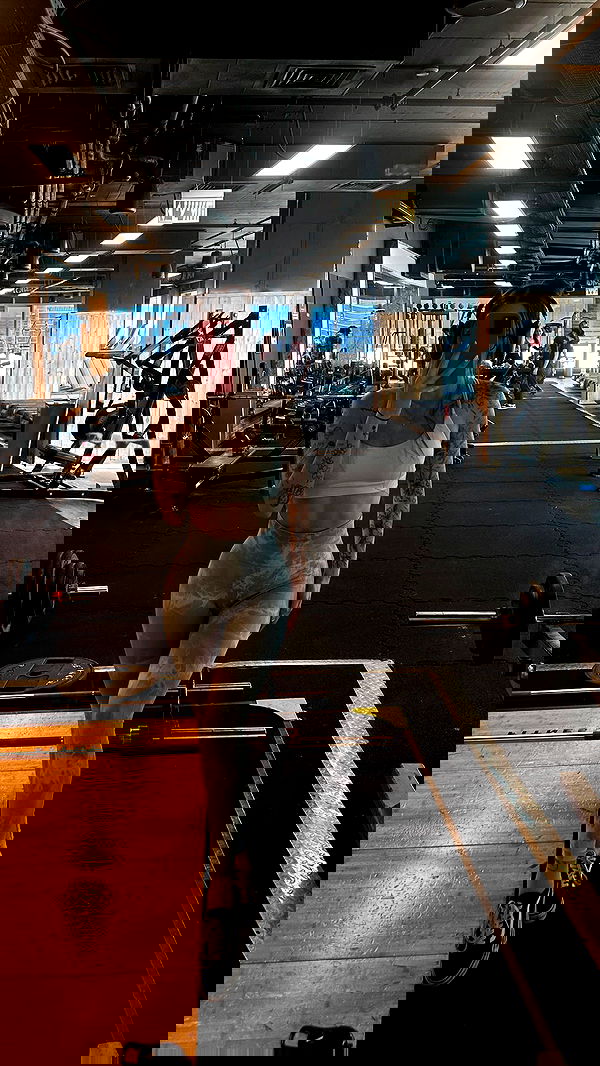 lital.shli lital.shli archive image