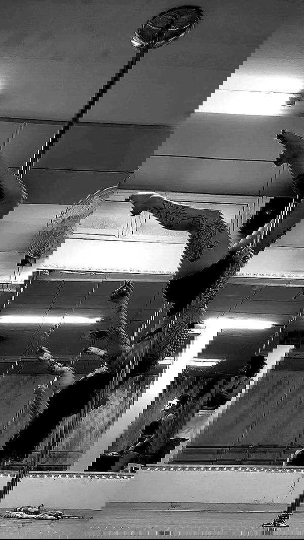 lital.shli lital.shli archive image