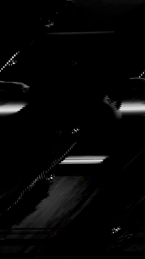 lital.shli lital.shli archive image