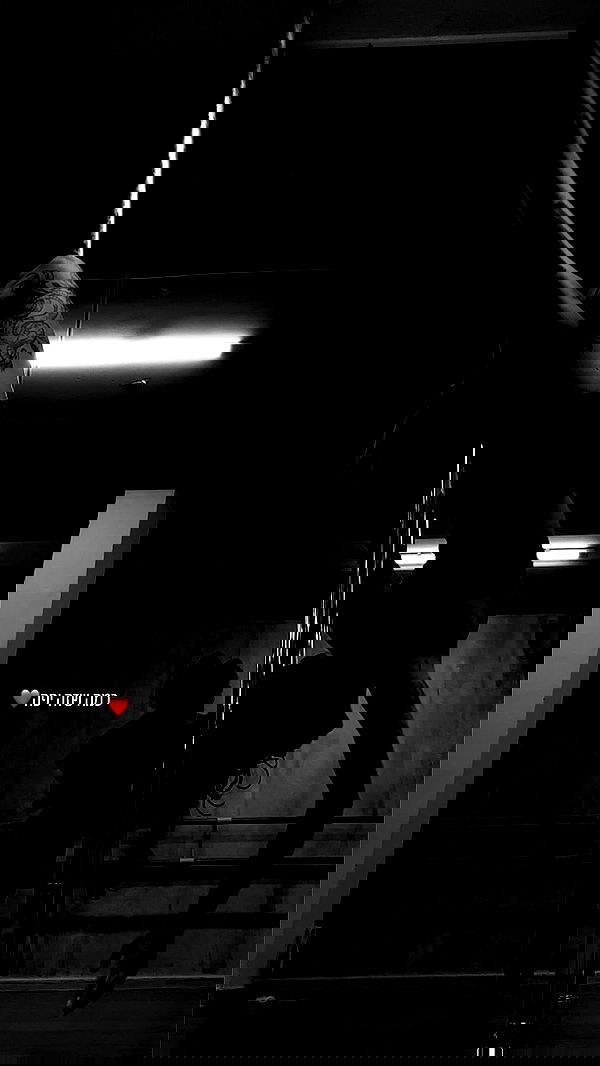 lital.shli lital.shli archive image