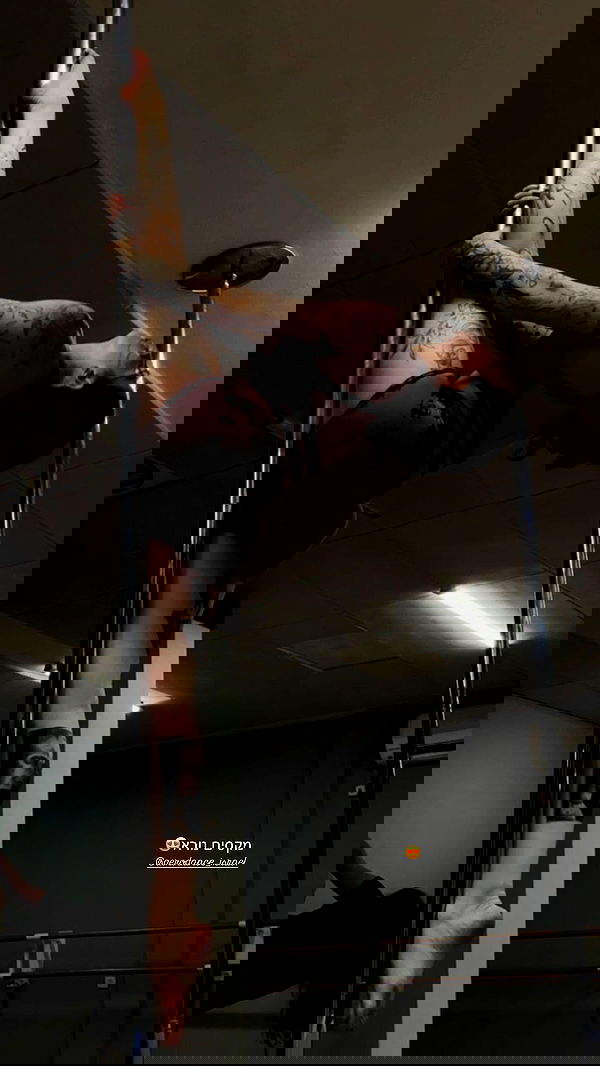 lital.shli lital.shli archive image