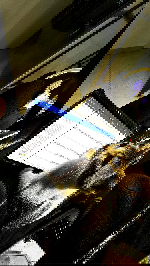 lital.shli lital.shli archive image