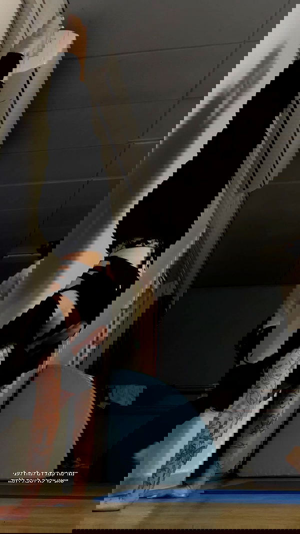 lital.shli lital.shli archive image