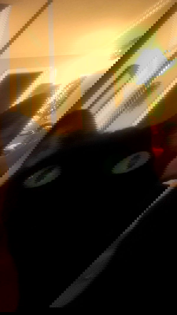 little.warren_ little.warren_ archive image