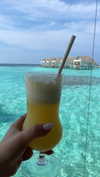 liya_manor_ Altpins Profile Picture