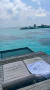 liya_manor_ Altpins Profile Picture