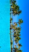 liya_manor_ Altpins Profile Picture