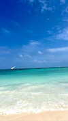 liya_manor_ Altpins Profile Picture