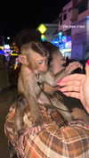 liya_manor_ Altpins Profile Picture