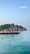 liya_manor_ Altpins Profile Picture