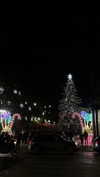liya_manor_ Altpins Profile Picture