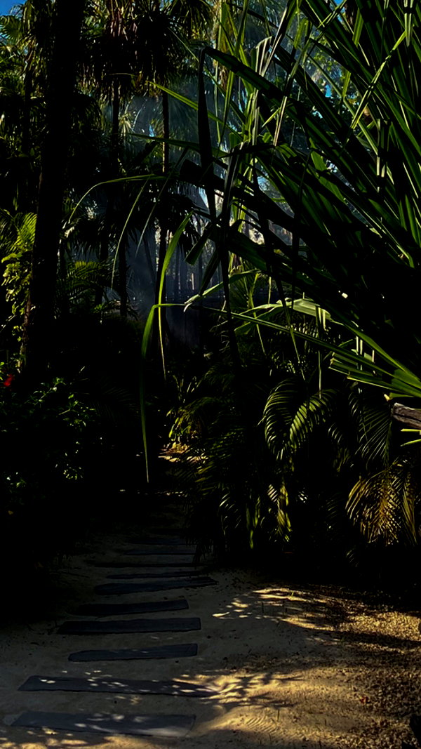 lizakovalenkoo lizakovalenkoo archive image