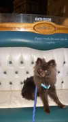 lizakovalenkoo Altpins Profile Picture