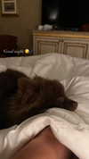 lizakovalenkoo Altpins Profile Picture