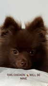 lizakovalenkoo Altpins Profile Picture