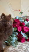 lizakovalenkoo Altpins Profile Picture