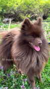 lizakovalenkoo Altpins Profile Picture