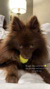 lizakovalenkoo Altpins Profile Picture