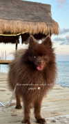 lizakovalenkoo Altpins Profile Picture
