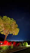 lizakovalenkoo Altpins Profile Picture