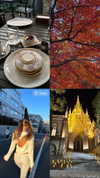 lizakovalenkoo Altpins Profile Picture