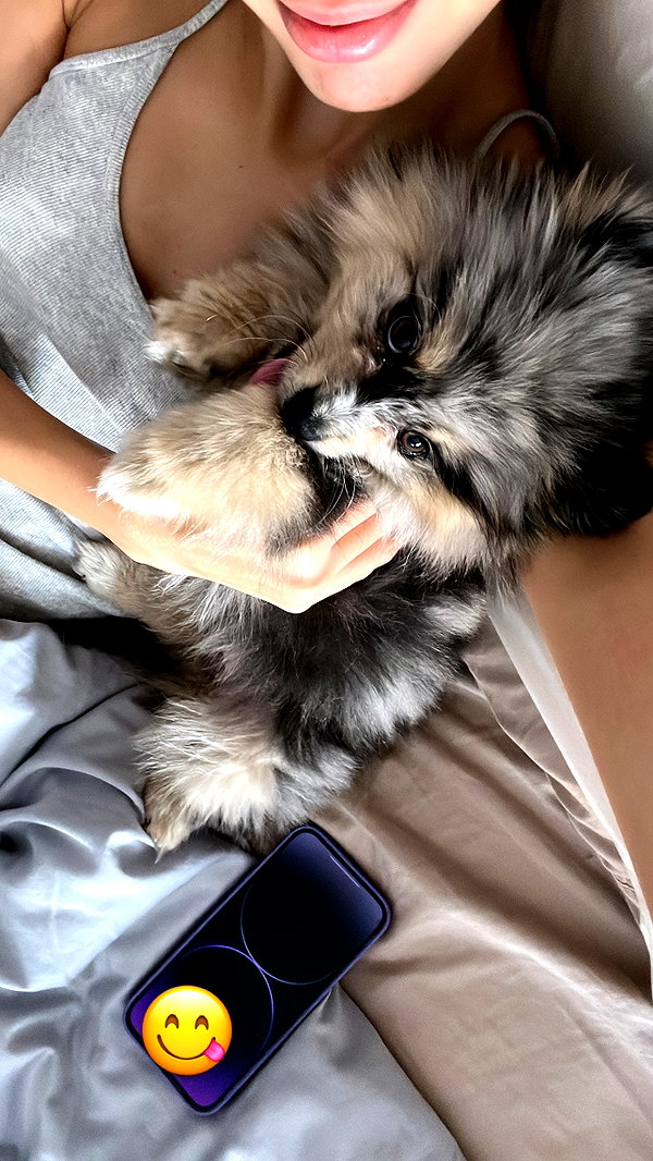lizakovalenkoo instagram image archive image