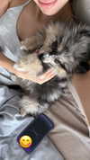 lizakovalenkoo Altpins Profile Picture