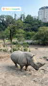 lizi.nazara Altpins Profile Picture