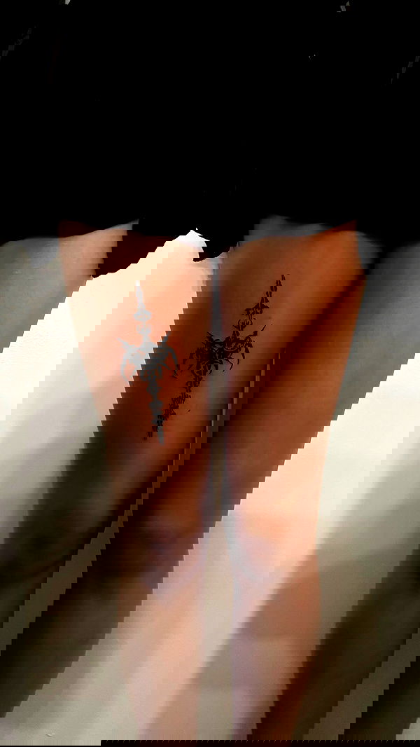 llilbby llilbby archive image