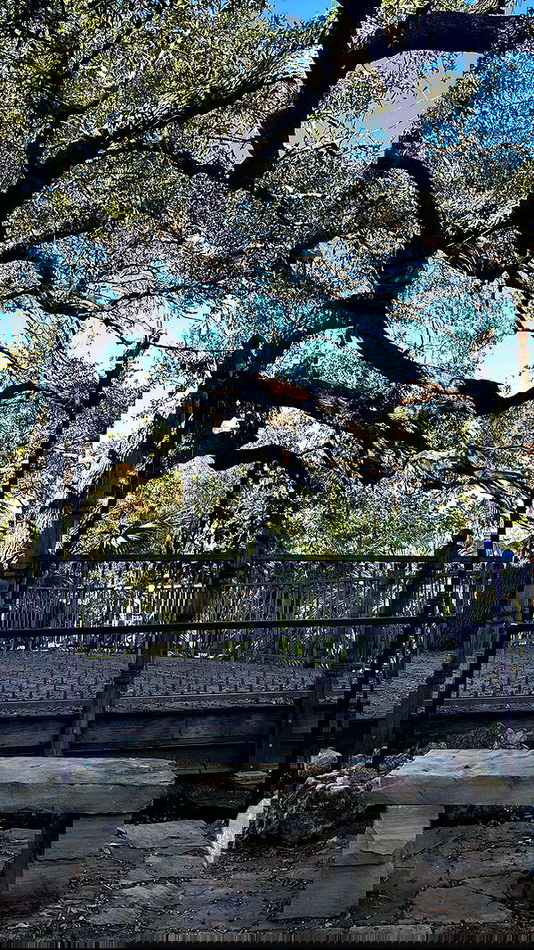 llilbby llilbby archive image