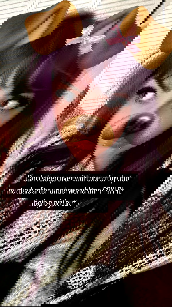 llilbby llilbby archive image