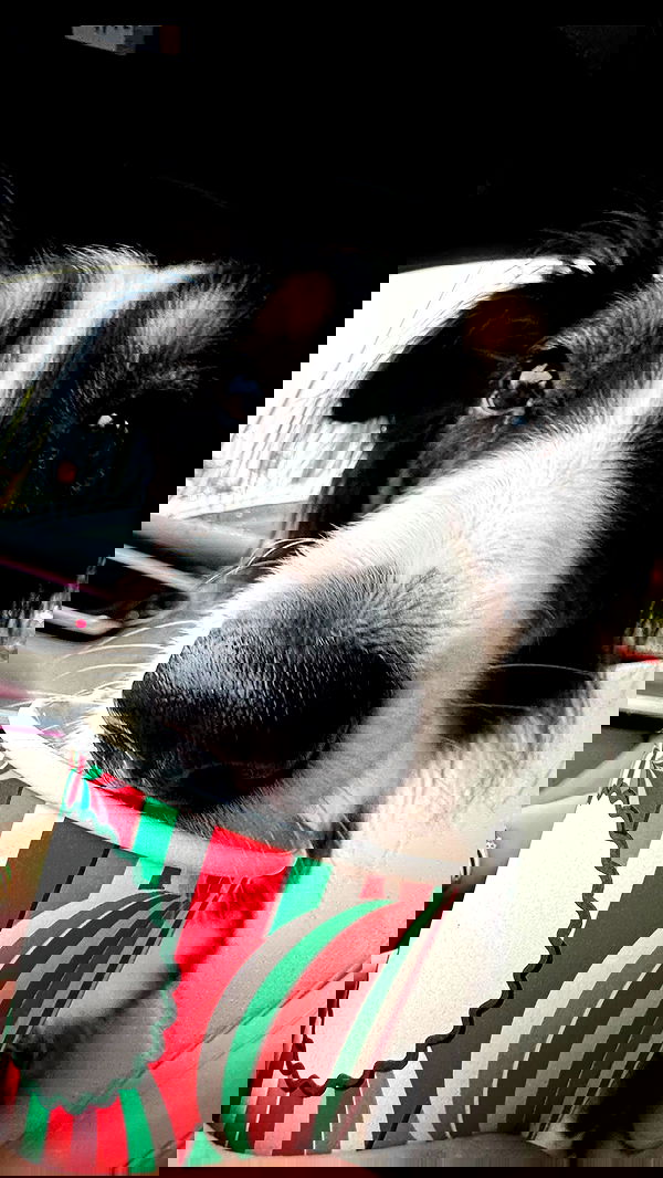 lu2hot lu2hot archive image