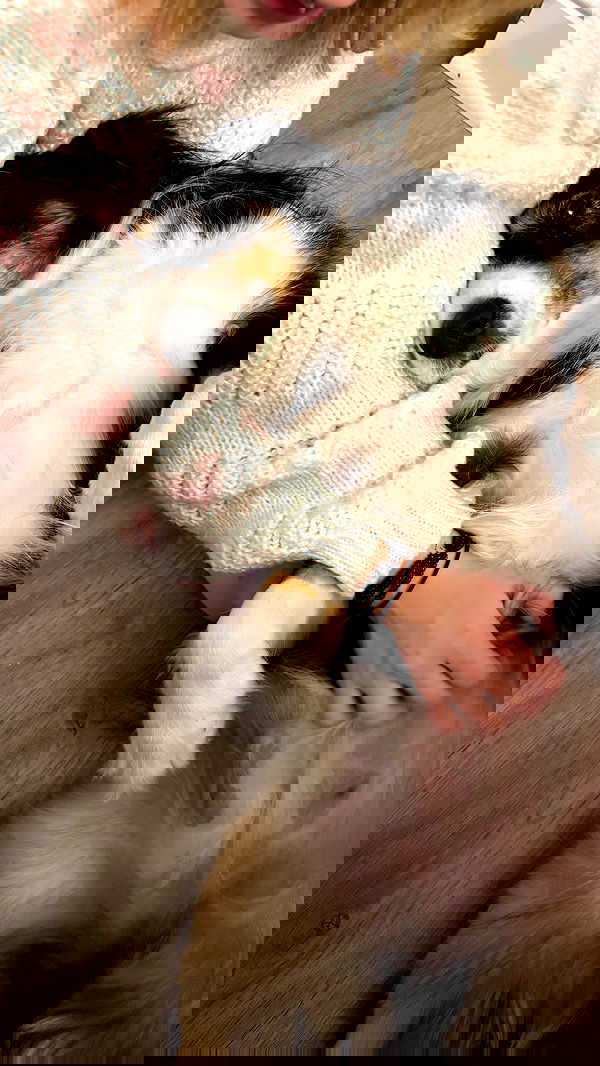 lu2hot lu2hot archive image