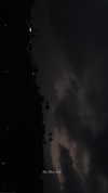 luciaaferrato Altpins Profile Picture